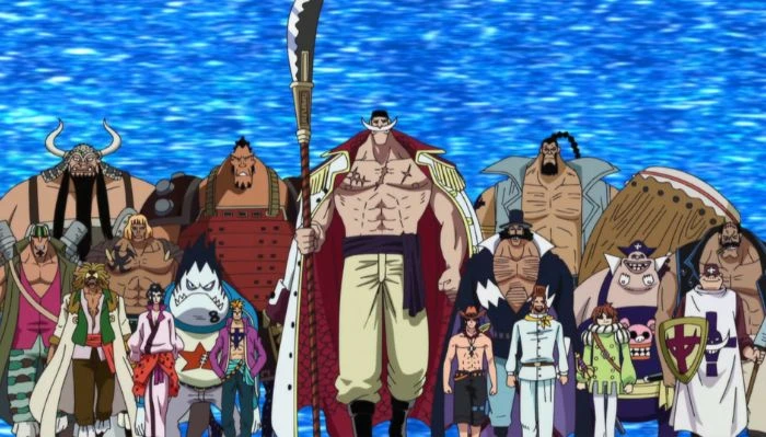 One Piece: Đội Hình Băng Mũ Rơm Sau Time Skip