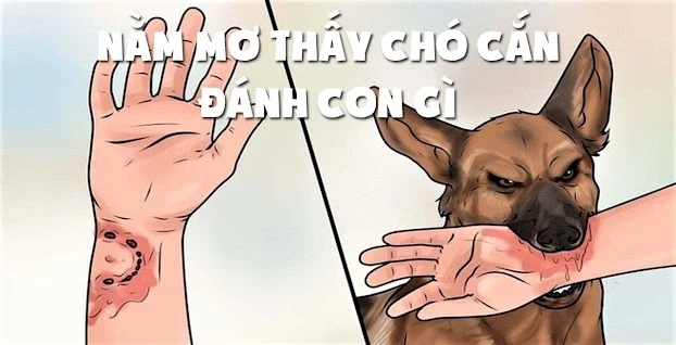 Mơ thấy chó đánh con gì